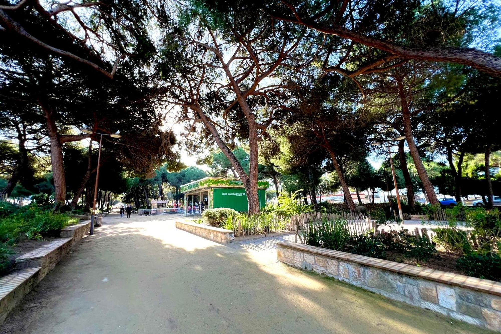 Appartement Les Pins Pinede Sector - 2 People